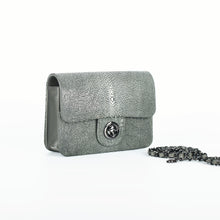 Load image into Gallery viewer, Stingray Skin - (Ready to send)